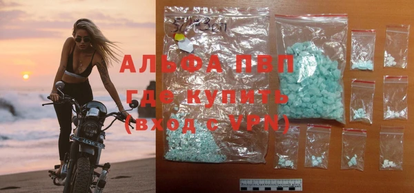 прущие грибы Заволжск